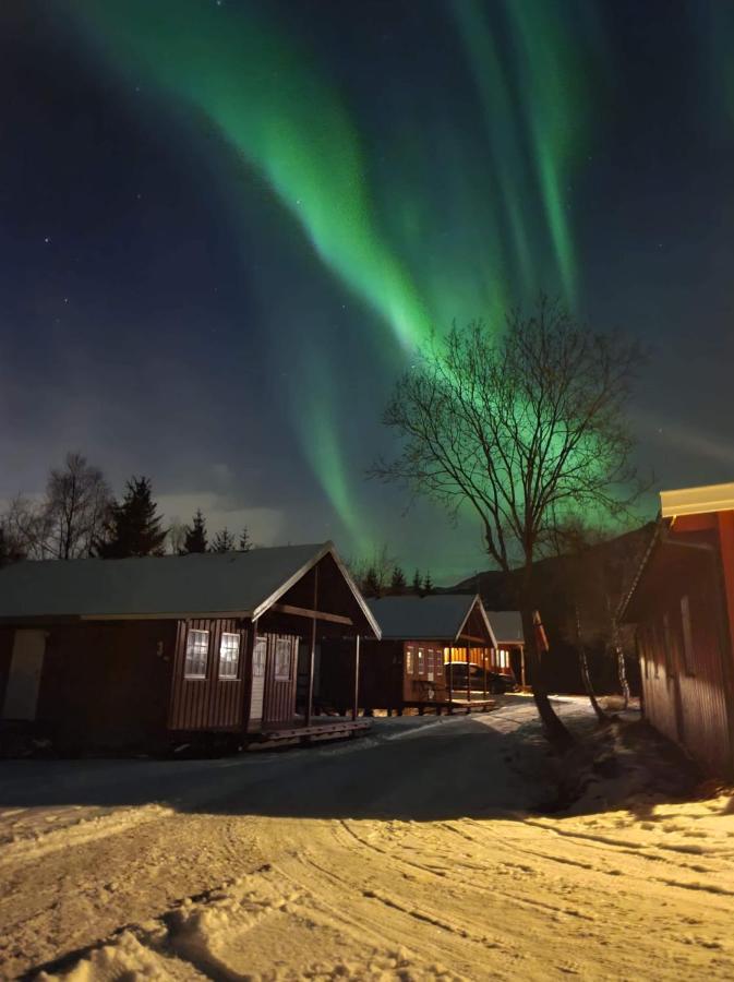 Lofoten Camp Stamsund Zewnętrze zdjęcie
