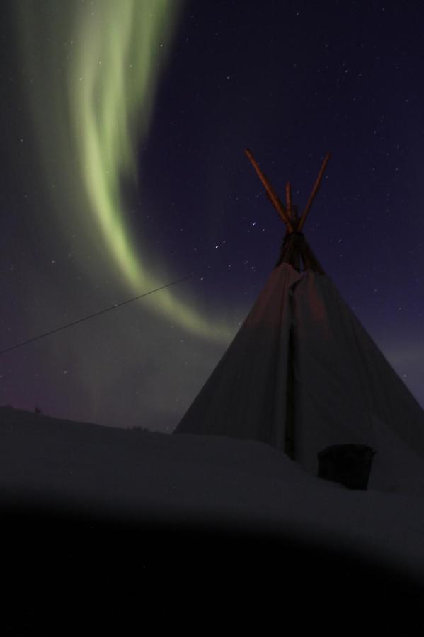 Lofoten Camp Stamsund Zewnętrze zdjęcie